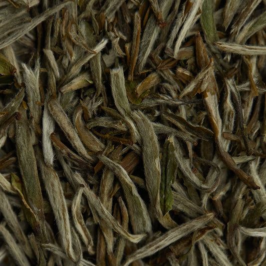 BAI HAO YIN ZHEN biely čaj - 50 g